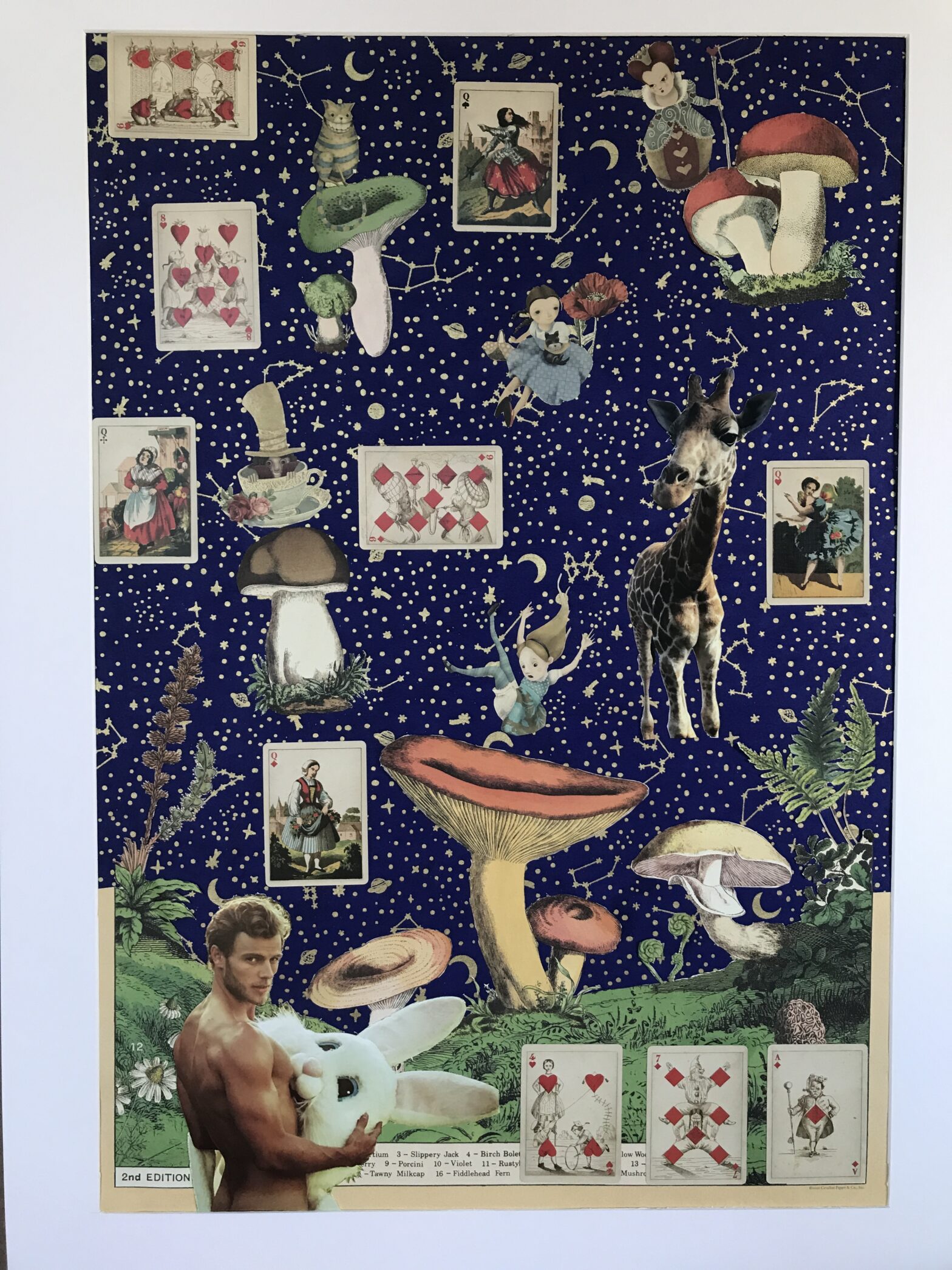 Collage featuring Alice in Wonderland, Dorothy of Oz, Mad Hatter, Sexy Male Bunny, Queen of Hearts