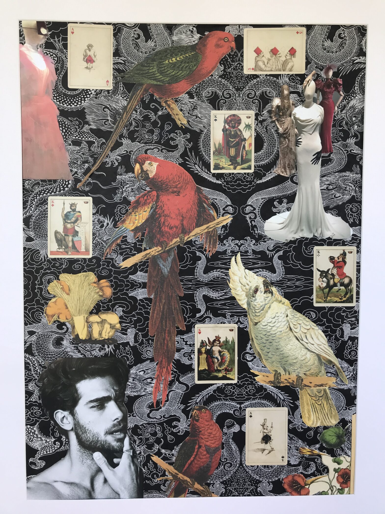 Collage featuring parrots, macaws, Christian Dior dresses, cards and men